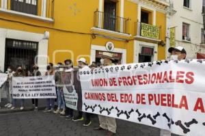 MANIFESTACIÓN MÉDICOS VETERINARIOS