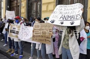 MANIFESTACIÓN MÉDICOS VETERINARIOS