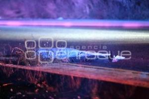 NOTA ROJA . ATROPELLADO