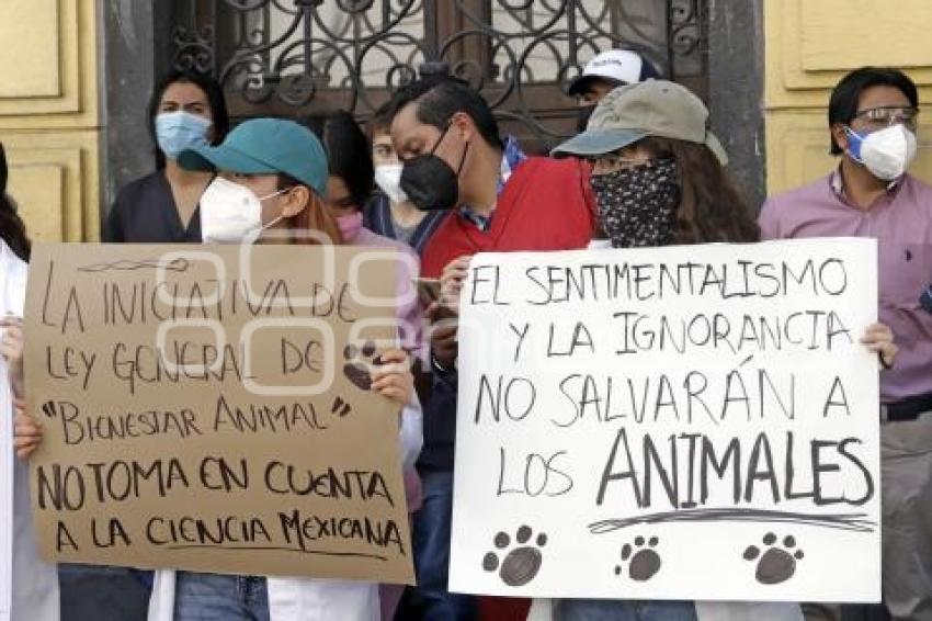 MANIFESTACIÓN MÉDICOS VETERINARIOS