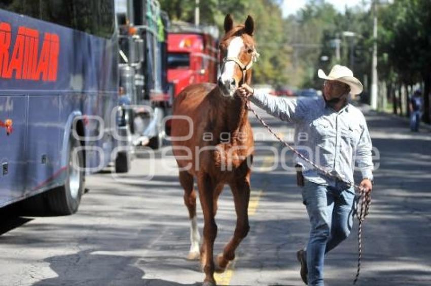 TLAXCALA . ASOCIACIÓN TLAXCALA A CABALLO