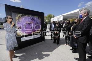 EXPOSICIÓN . CAMBIO CLIMÁTICO