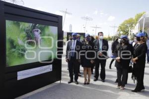 EXPOSICIÓN . CAMBIO CLIMÁTICO