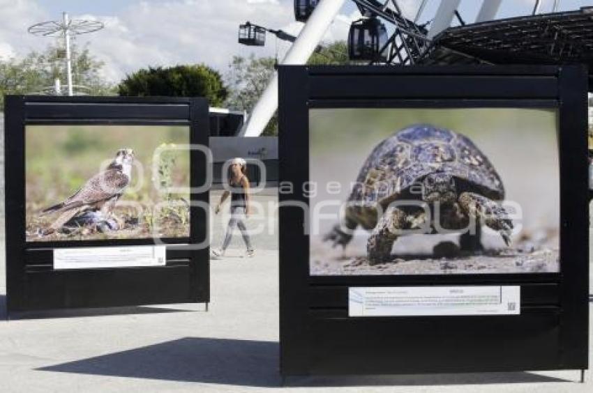 EXPOSICIÓN . CAMBIO CLIMANTICO