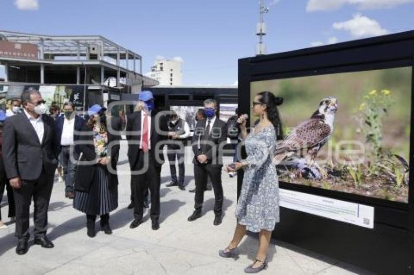 EXPOSICIÓN . CAMBIO CLIMÁTICO