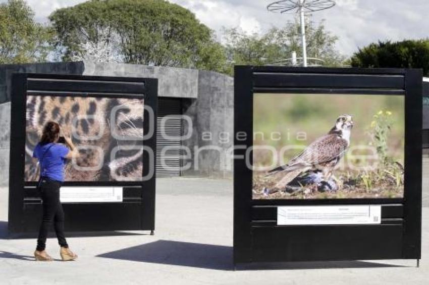 EXPOSICIÓN .  CAMBIO CLIMANTICO