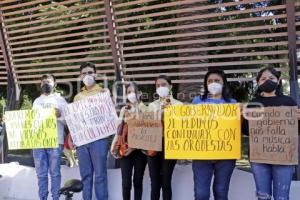 DÍA DEL MÚSICO . MANIFESTACIÓN