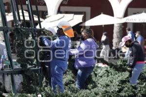 CHOLULA . ÁRBOL NAVIDEÑO