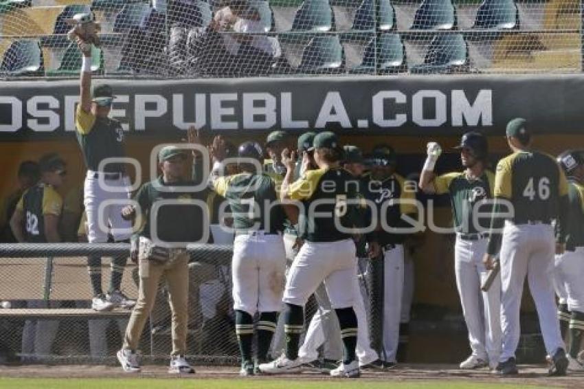 BEISBOL . SERIE DEL PRÍNCIPE