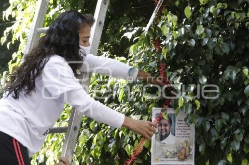 DESAPARECIDOS . ÁRBOL DE LA ESPERANZA