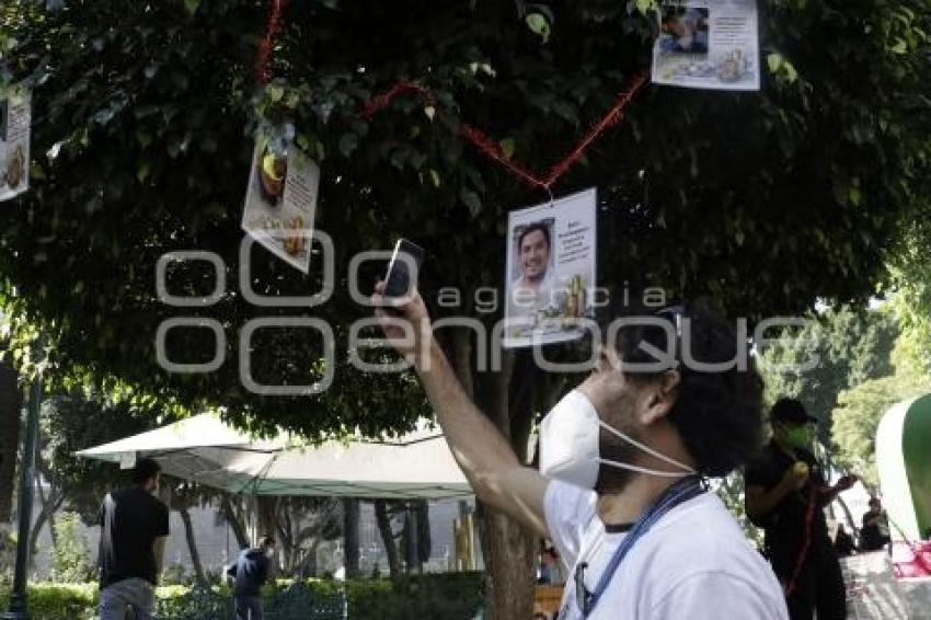 DESAPARECIDOS . ÁRBOL DE LA ESPERANZA