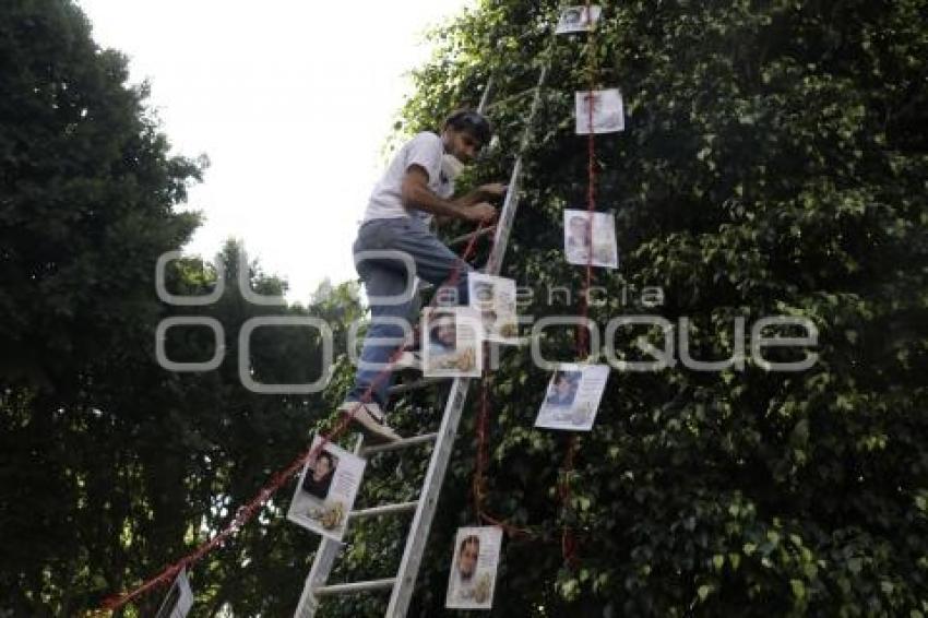 DESAPARECIDOS . ÁRBOL DE LA ESPERANZA