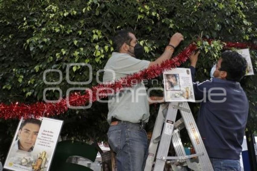 DESAPARECIDOS . ÁRBOL DE LA ESPERANZA