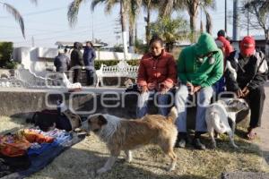 CARAVANA MIGRANTE