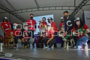 TLAXCALA . PASARELA DE PERRITOS