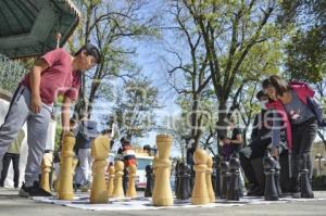 TLAXCALA . MOVIMIENTO IZQUIERDA