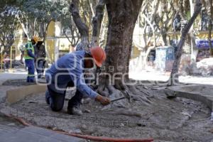 REHABILITACIÓN CALLE 5 DE MAYO