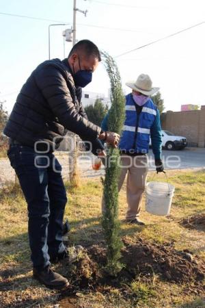 CHOLULA . JORNADA DE REFORESTACIÓN