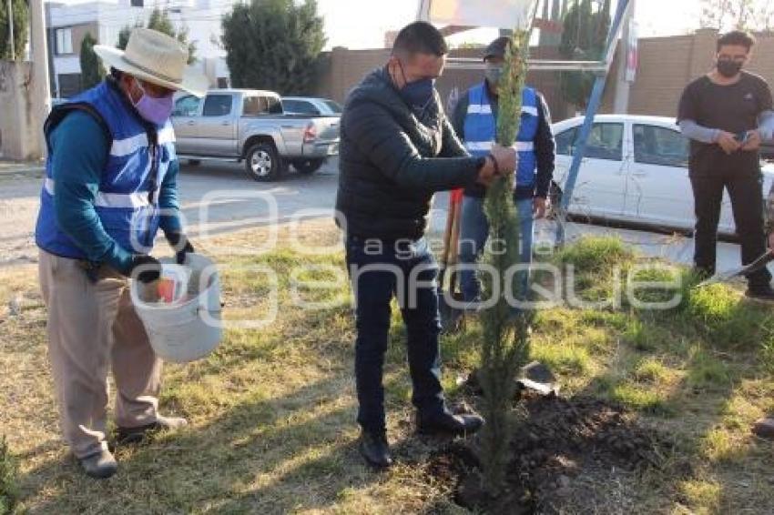 CHOLULA . JORNADA DE REFORESTACIÓN