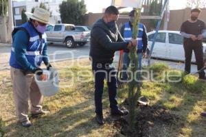 CHOLULA . JORNADA DE REFORESTACIÓN