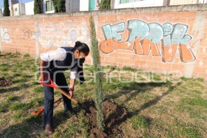 CHOLULA . JORNADA DE REFORESTACIÓN