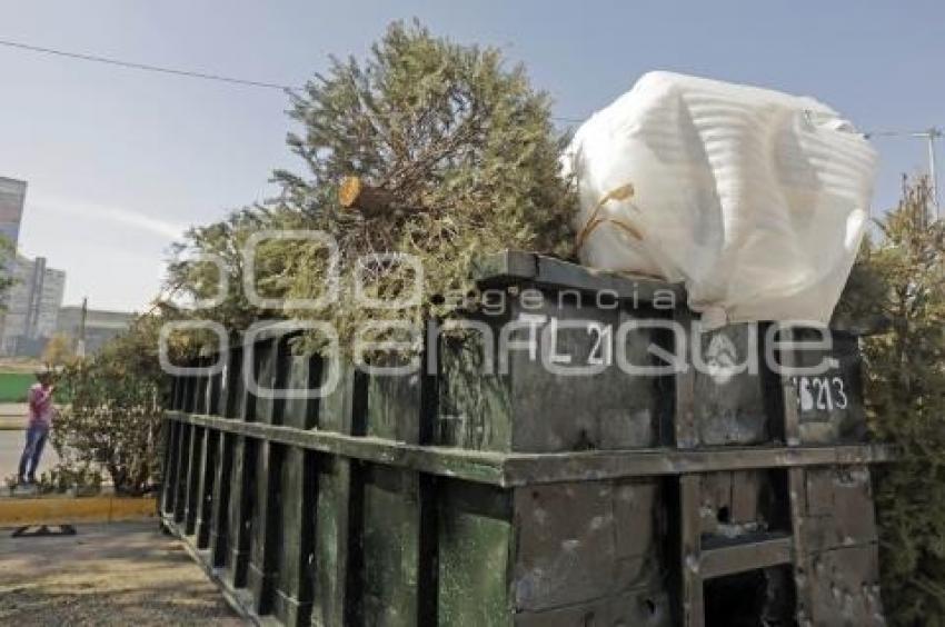 RECICLAJE ÁRBOLES DE NAVIDAD