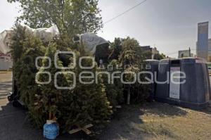 RECICLAJE ÁRBOLES DE NAVIDAD