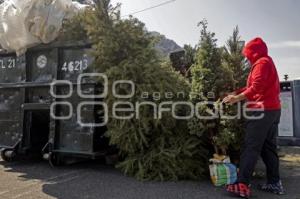 RECICLAJE ÁRBOLES DE NAVIDAD