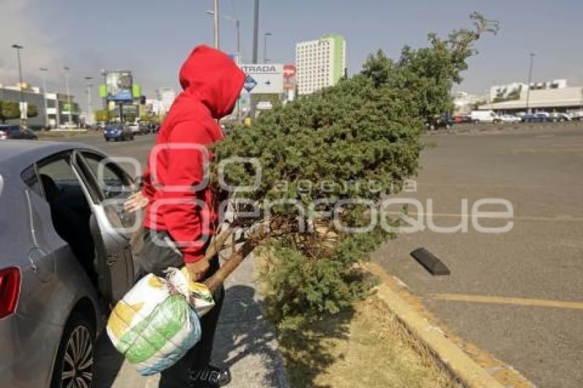 RECICLAJE ÁRBOLES DE NAVIDAD