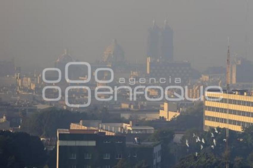 AÑO NUEVO . CONTAMINACIÓN