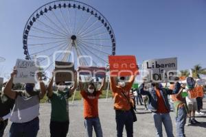 MANIFESTACIÓN UDLAP