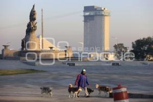 AÑO NUEVO . PROPÓSITOS