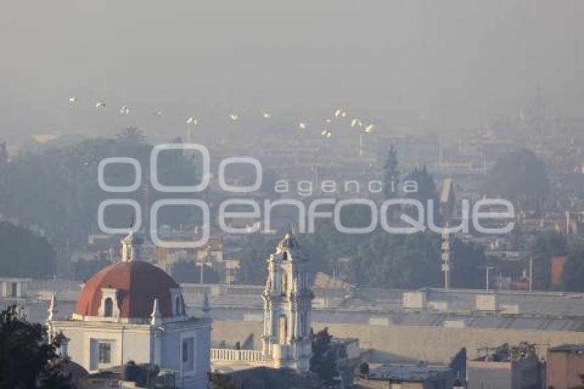 AÑO NUEVO . CONTAMINACIÓN