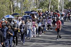 VACUNA COVID-19 . DOCENTES