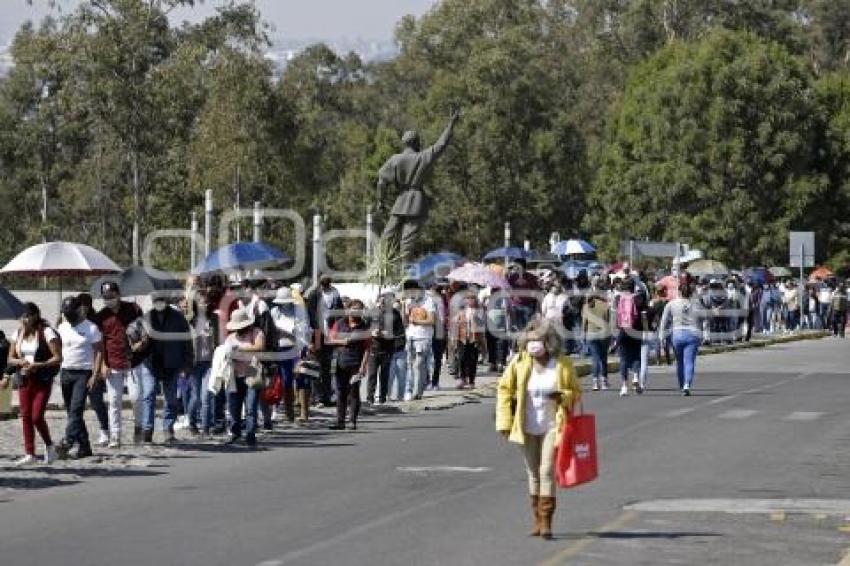 VACUNA COVID-19 . DOCENTES