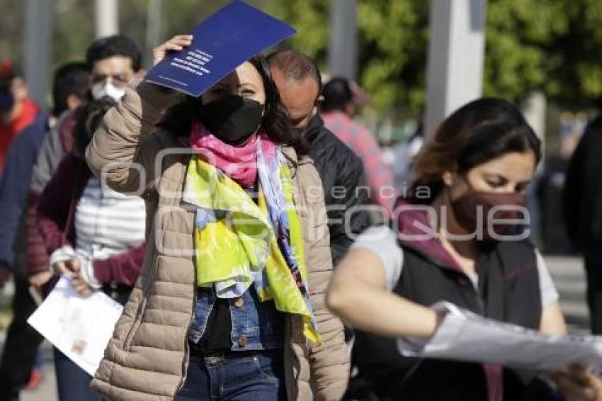 VACUNA COVID-19 . DOCENTES