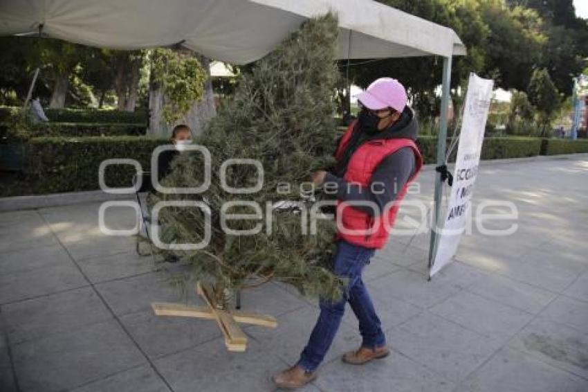 RECICLAJE ÁRBOLES DE NAVIDAD