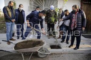 AYUNTAMIENTO . SUPERVISIÓN PAVIMENTACIÓN