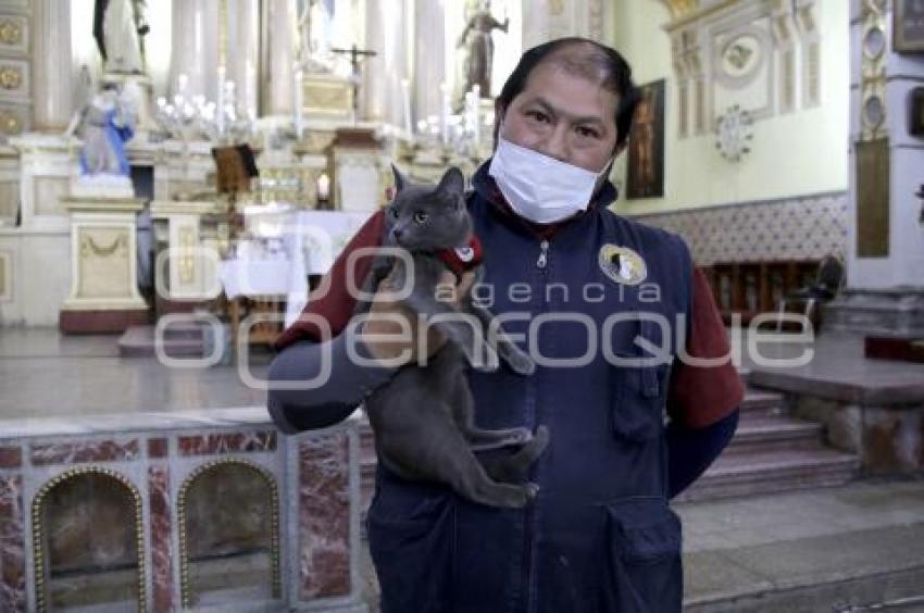 BENDICIÓN MASCOTAS