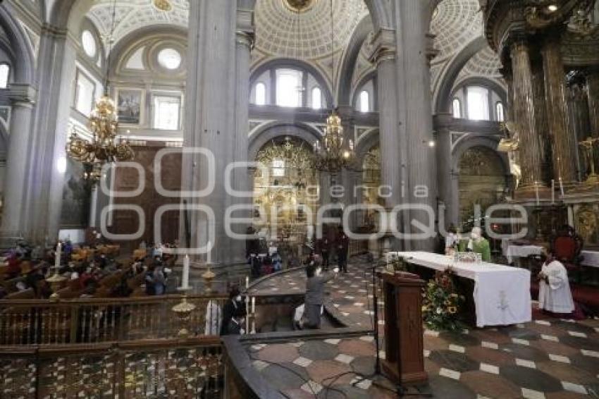 CATEDRAL . MISA