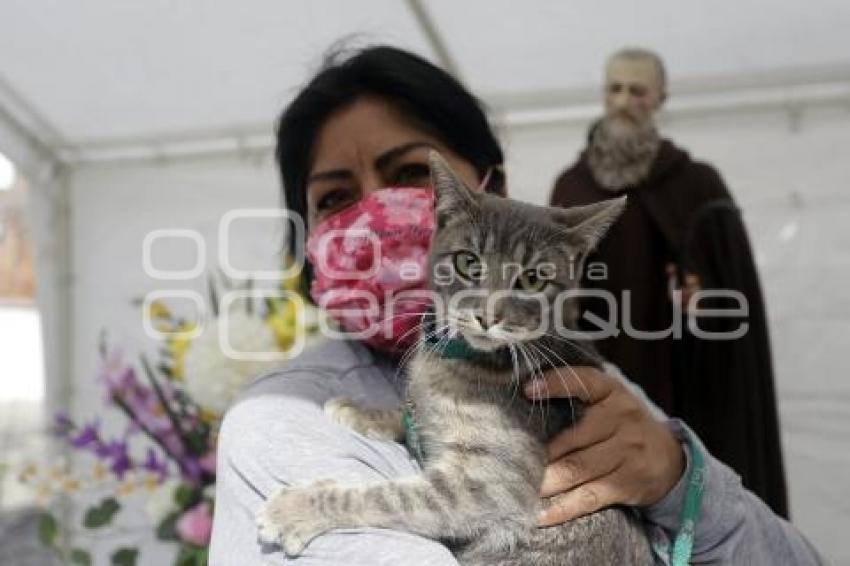 BENDICIÓN DE MASCOTAS