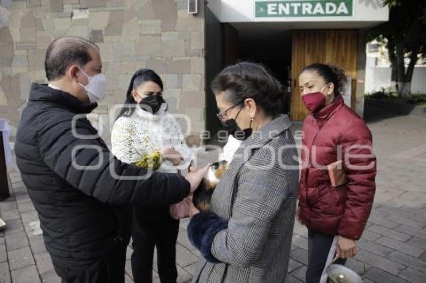 BENDICIÓN DE MASCOTAS