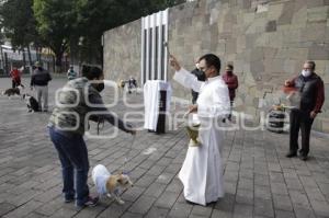 BENDICIÓN DE MASCOTAS