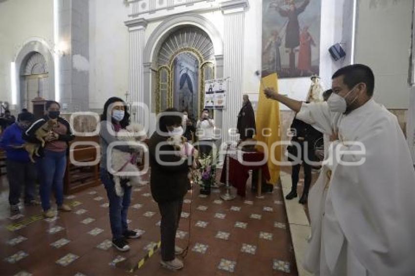 BENDICIÓN DE MASCOTAS