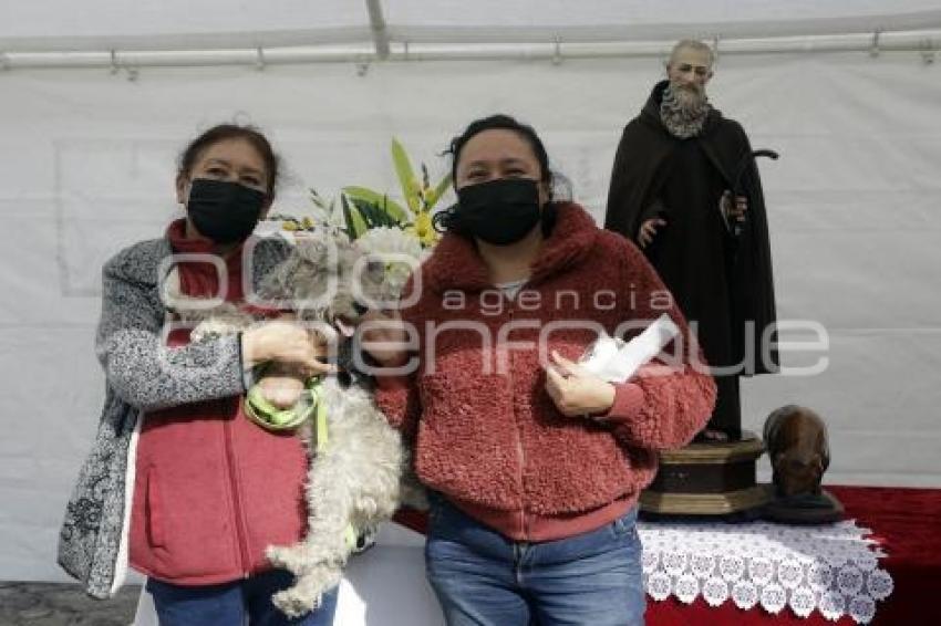 BENDICIÓN DE MASCOTAS