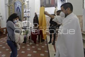 BENDICIÓN DE MASCOTAS