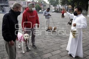 BENDICIÓN DE MASCOTAS