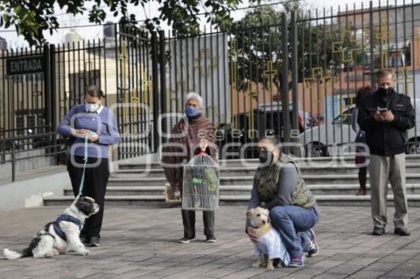 BENDICIÓN DE MASCOTAS