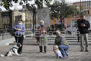 BENDICIÓN DE MASCOTAS