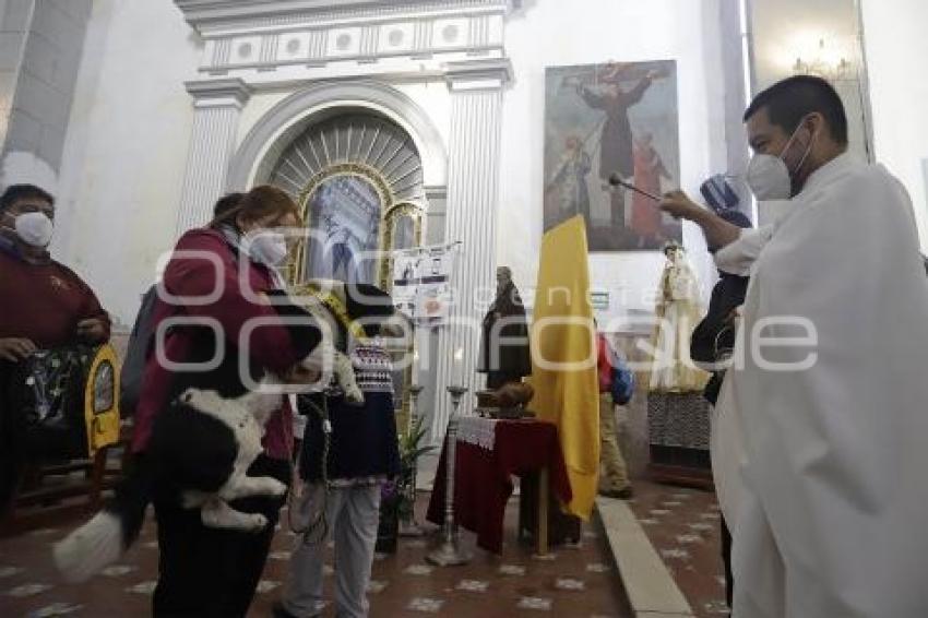 BENDICIÓN DE MASCOTAS